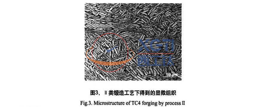 1582721665744447.jpg 未標(biāo)題-2.jpg